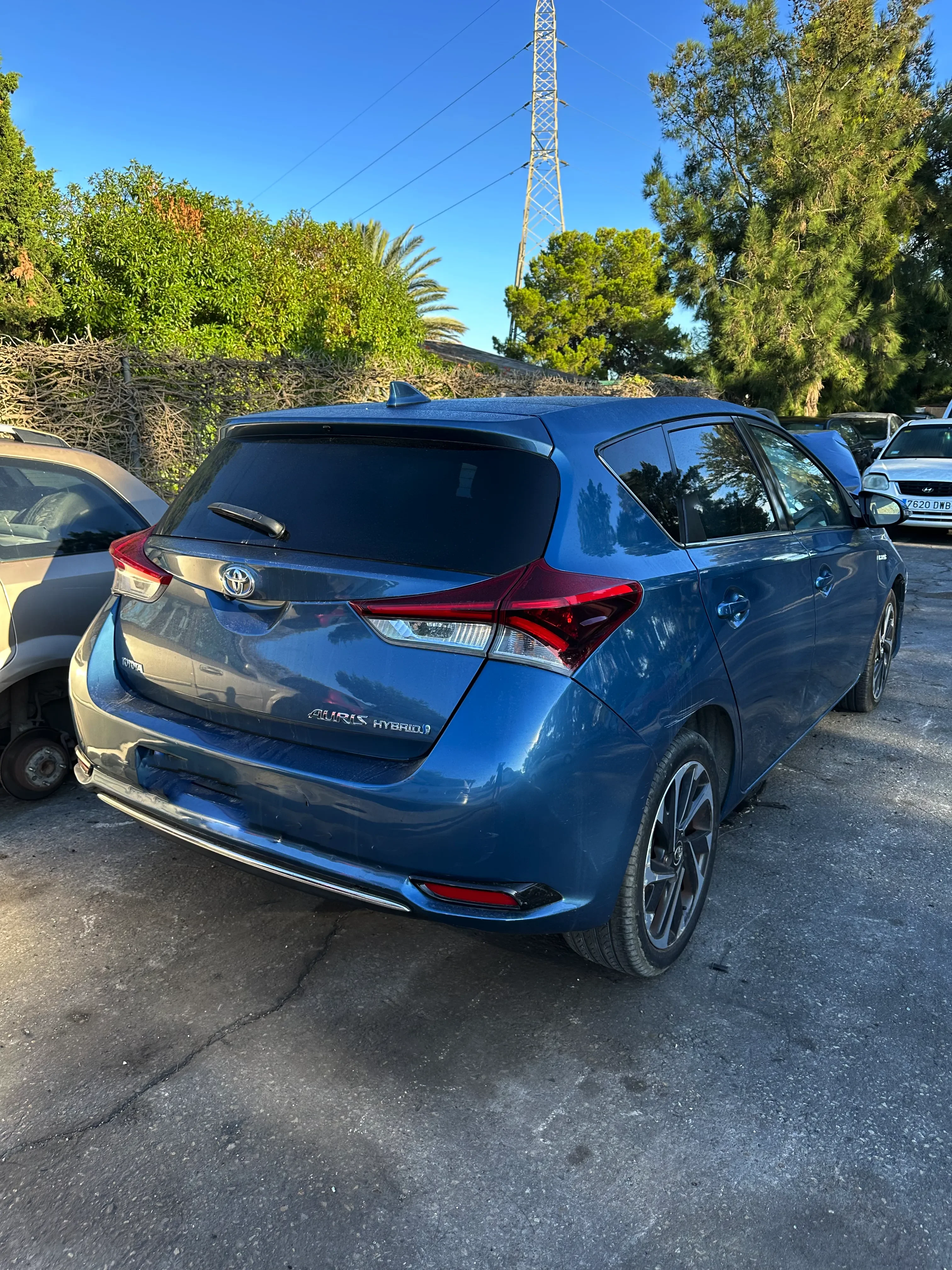 Auris Hybrid